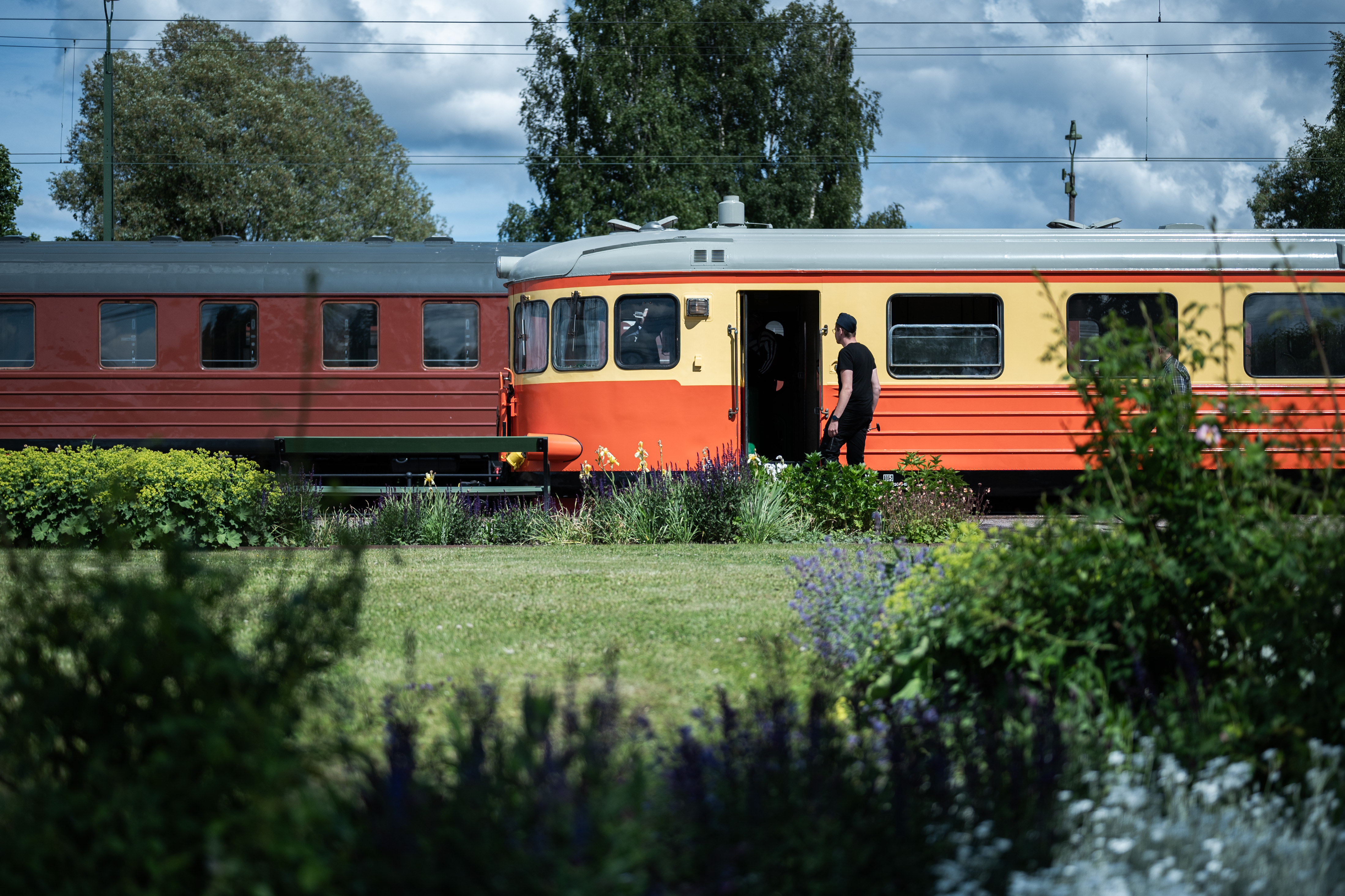 A railcar is visible among green grass and bushes